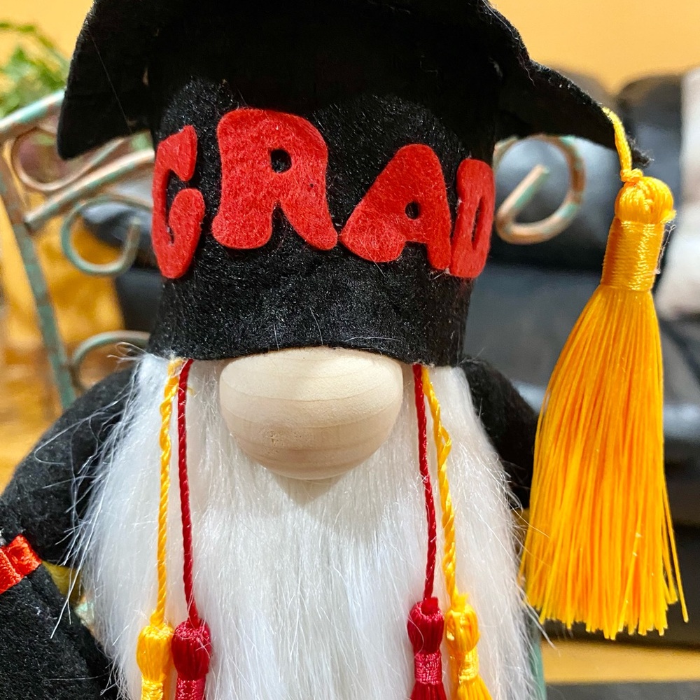 Graduation gnome - Picture 3 of 7